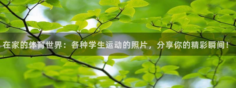 好博体育app在线下载：在家的体育世界：各种学生运动的照片，分享你的精彩瞬间！