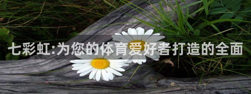 好博体育平台在线入口：七彩虹:为您的体育爱好者打造的全面